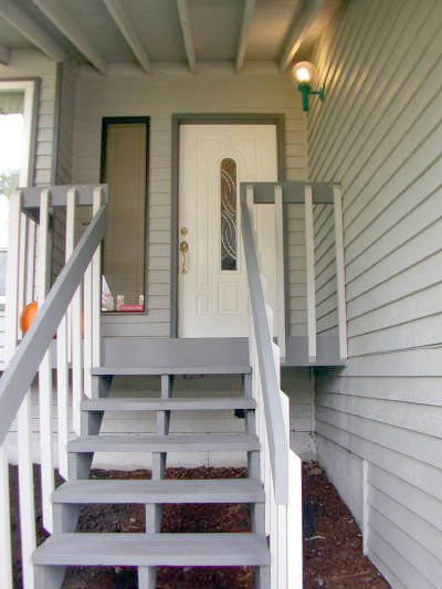 Lower level fireplace